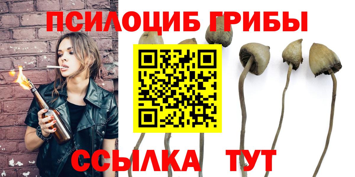 Галлюциногенные грибы Psilocybine cubensis Можга