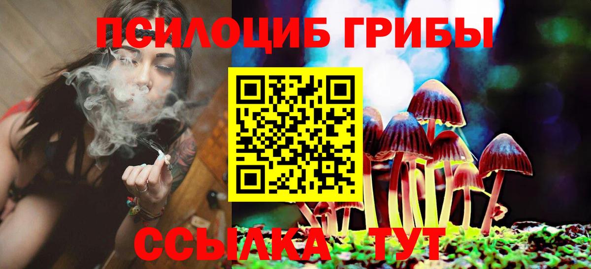 Псилоцибиновые грибы Cubensis  Галлюциногенные грибы GOLDEN TEACHER  Вход с VPN  Можга 